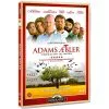 SMD DVD Adams Æbler