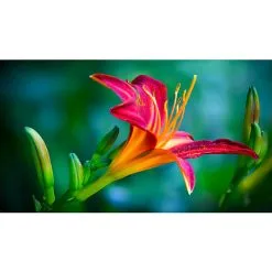 Acer SB241Ybmix 23.8" 75hz Ultra Slim Monitor -Husholdning butik 1476c4be7d8ce3433356591bdca3e1b1