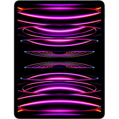 Apple IPad Pro 12,9" Wi-Fi 2 TB (2022) Space Grey -Husholdning butik 1c1904f905af1ce17f429d7e4ad09437 1