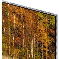 SAMSUNG 85" NEO QLED 8K TV QE85QN800B -Husholdning butik 32290a92 1482 4482 bf76 eafdf4fa1e21 2