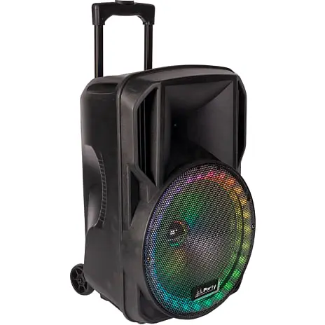 Party Light & Sound Ibiza RGB12PLS Festival-højttaler 5 Party Light & Sound Ibiza RGB12PLS Festival-højttaler - Billede 3