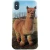 ITSKINS AVANA IPhone 11 Cover - Lama -Husholdning butik 6ba64555 1b21 4a8f 8851 37833253cb20