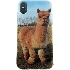ITSKINS AVANA IPhone 11 Cover - Lama