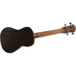 Reno RU380C Koncert Ukulele -Husholdning butik 6fedc10f8224c03ded61199cd8791411