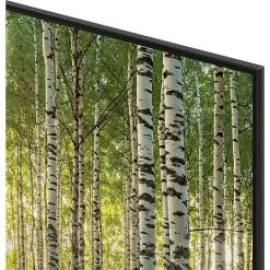 SAMSUNG 65" QLED TV QE65Q70B -Husholdning butik 88201e24 3398 46ff b0f6 8e5ce9238d25