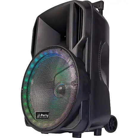 Party Light & Sound Ibiza RGB15PLS Festival-højttaler 4 Party Light & Sound Ibiza RGB15PLS Festival-højttaler - Billede 2