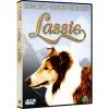 Andre Mærker Lassie 3-pack 2 Andre Mærker Lassie 3-pack -Husholdning butik a3cb2db6 21e3 4e0e a9f8 a7cd450f0a33