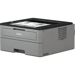 Brother HL-L2350DW Laserprinter Mono