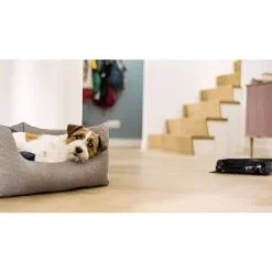 Miele Scout RX3 Obsidian Robotstøvsuger - Black -Husholdning butik bd7b56e0425a5b252b19a4c93509ba94