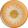 PopSockets Swappable PopGrip - Pressed Flower White Daisy