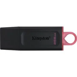 Kingston DataTraveler 256GB USB 3.2